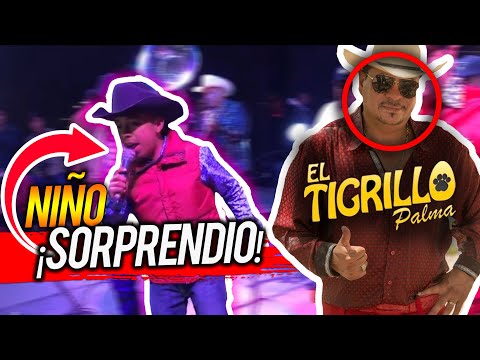 🔥🤠Morro Sorprende Al Tigrillo Palma Con El Corrido Del CH4PO 😱