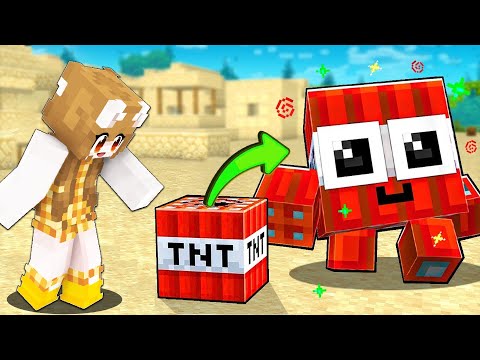 Minecraft, But TNT is our PET!