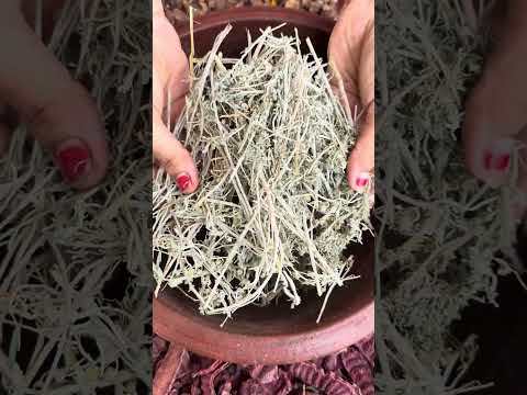 முடி அடர்த்தியா காடு போல வளரும் - இத தேய்ங்க மூலிகை சீகக்காய் பொடி