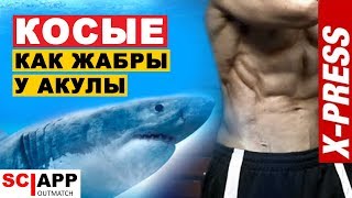 видео
