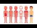 Understanding the Human Body
