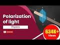 Tourmaline Crystals and Light Polarization
