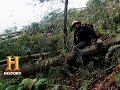 Creek Cleanup Team Assessment