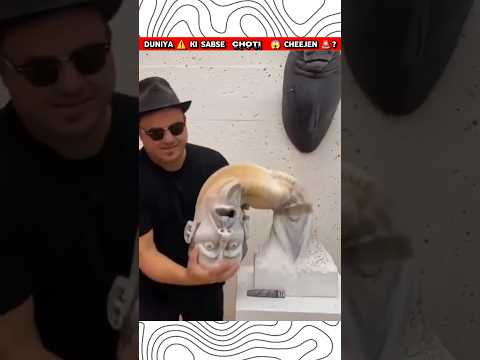 WORLDS ⚠️ SMALLEST  ? THINGS  ?⁉️#shorts#youtubeshorts#viral#funny#sports#games#new#fun