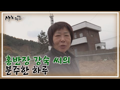 동에 번쩍 서에 번쩍 홍반장 강숙 씨의 분주한 하루 MBN 250112 방송