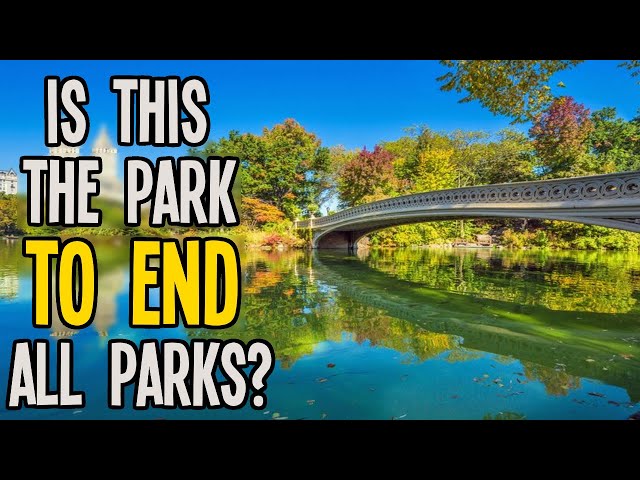 Will the Mega-Multi-Park Bring All Tourists to my City in Cities Skylines?