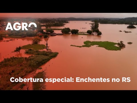 Tragédia no RS: impacto em alimentos, desabastecimento, estradas e mais - Hora H do Agro 11/05/24