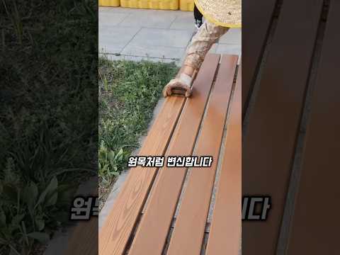 가짜 나무, 진짜보다 더 진짜 같았다