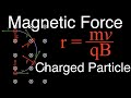 Charged Particles in Magnetic Fields