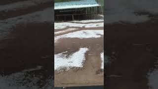 snow during rain #shorts #youtubeshorts