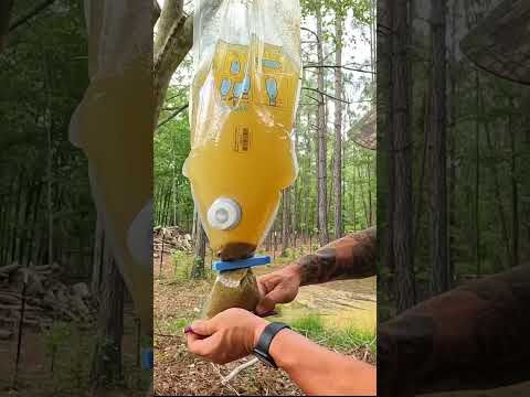 This Bag Makes DIRTY Water Safe