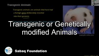 Transgenic or Genetically modified Animals