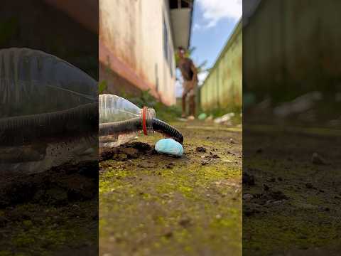 Unbelievable moment, a single sweet candy made the centipede crawl straight into the bottle#shorts