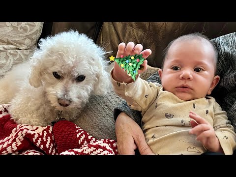 My Son & Quincy's First Christmas Together!