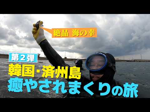 韓国・済州島 癒やされまくりの旅【坂上忍が出会った本物の済州(チェジュ)、カルムステイ旅行 🌿〖第2弾〗】사카가미 시노부가 만난 진짜 제주, 카름스테이 여행 🌿