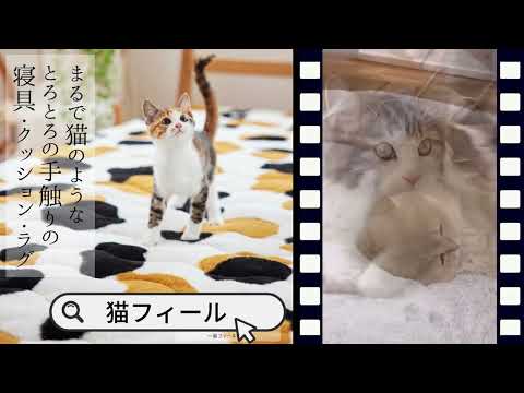 まるで猫の肌触り♪好きなときに思う存分もふもふできる【猫Feel】
