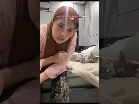 poby anak diluar kandungan🤣#semuaorang #kucing #pororo #fypシ #kucinglucu #fypシ゚viral #cat