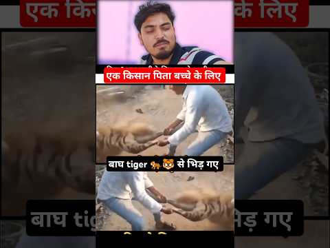 किसान पिता बाघ 🐅से भिड़ गये'farmers and tiger🐯father son status #viralvideo #farmer #public #shorts