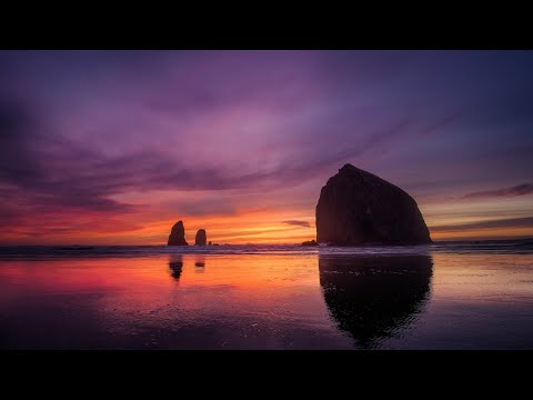 Lost Frequencies - Reality (Live Mix Cut)