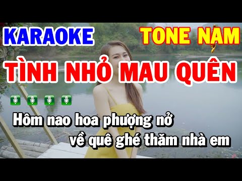 Karaoke Nhạc Sống Tình Nhỏ Mau Quên | Tone Nam Dm Remix | Beat Hay Dễ Hát