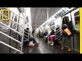 Microbiome of the NYC Subway System