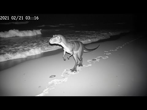 15 Animales Extintos Que La Ciencia Ha Revivido😨