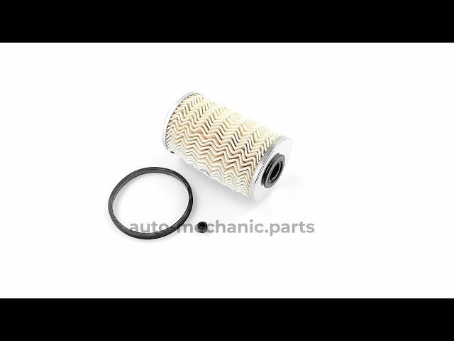 Фільтр паливний Renault Trafic/Master 1.9-3.0dCi 03-, відео - інтерент-магазин Auto-Mechanic