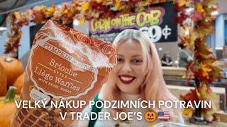 VELKÝ NÁKUP PODZIMNÍCH POTRAVIN V AMERICE 🇺🇸🎃 | NYC diaries
