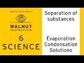 Understanding Evaporation and Saturated Solutions