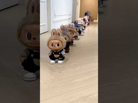 My labubu collection #labubu #kawaii #cute
