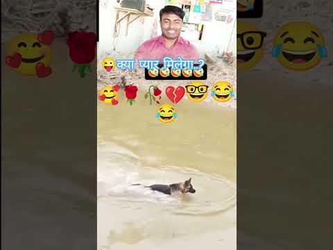 Saat Samunder Paar 🥰💔🥀🤓😂 #shorts #trending #ytshorts #anjaniprakashg