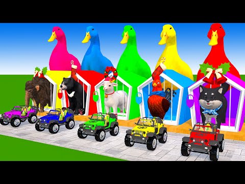 5 Giant Duck Cartoon, Cow, Elephant, Tiger, Dinosaur, Paint Wild Animals Crossing Fountain Animation