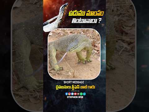 ఉడుము మాంసం తింటున్నారా? | #shorts #life #bible #motivation #telugu | STEPHEN BOB |