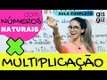 Multiplication and Properties of Numbers
