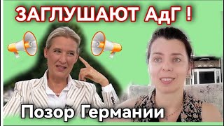 ИНТЕРВЬЮ АЛИС ВАЙДЕЛЬ ЗАГЛУШАЮТ В ГЕРМАНИИ - СКАНДАЛ С РАЗДАЧЕЙ НЕМЕЦКОГО ГРАЖДАНСТВА В БЕРЛИНЕ