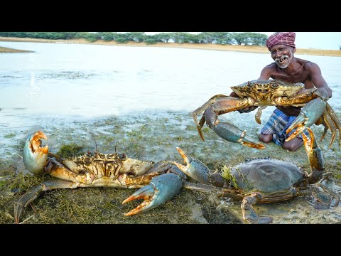 MONSTER MUD CRABS | முரட்டு கலி நண்டை வசமாக பிடித்த தாத்தா | Village Food | Grandpa Cooking Show