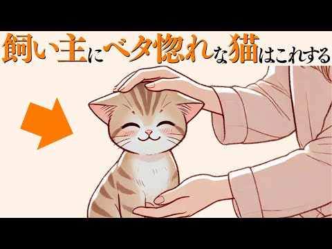 猫の動画サムネイル - 【飼い主にベタ惚れな猫だけがする行動】 猫の雑学 #猫 #ねこ