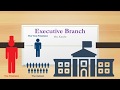 Exploring the Executive Branch and Its Functions