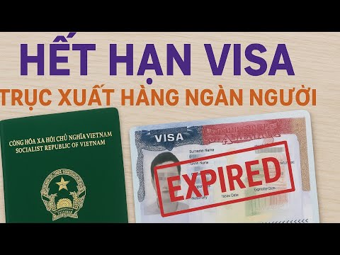 Ở Lại Sau Khi Hết Hạn Visa – Cái Bẫy Khiến Hàng Ngàn Người Việt Bị Trục Xuất