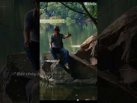 Entertainment AI giải trí và du lịch