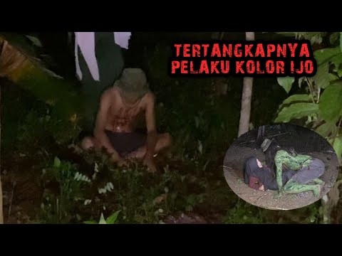 HEBOH‼️tertangkapnya pelaku color ijo