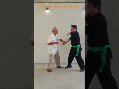 How to use Taiwan plum praying mantis kung fu 19#shorts #taiwan #kungfu #mantis