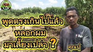 พูดตรงเกินไปแล้ว !! หลอกผมมาเลี้ยงวัวเปล่า ? คุณปุ