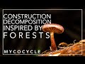 Sustainable Cities and Fungi