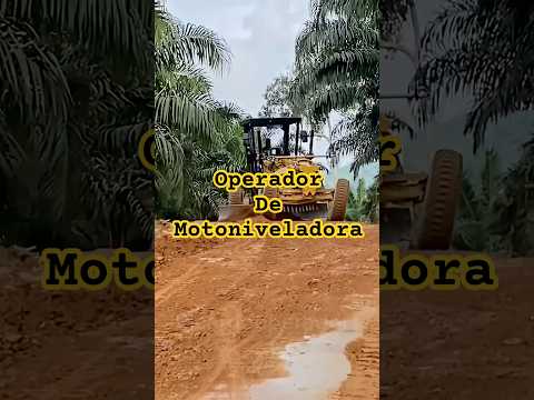 Quando o operador tem a senha mais não tem uma escolaridade boa #atoleiro #motoniveladora #trator