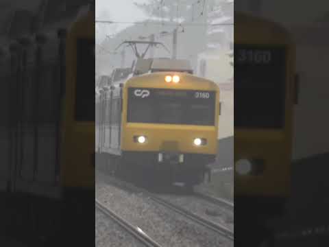suburban train 19036 through the fog ans stop st the station #views #subscribe #trains #portugal