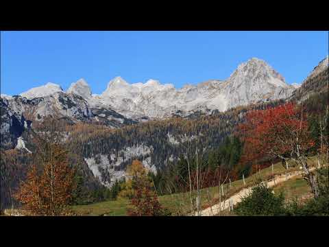 Meditacija Za Slovenijo: Odpiranje notranje moči in ustvarjanje Polja Ljubezni