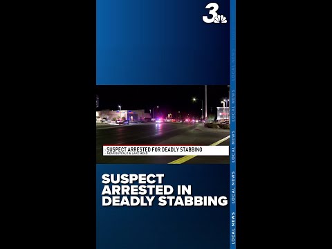 Suspect arrested for deadly stabbing near Buffalo, Lake Mead