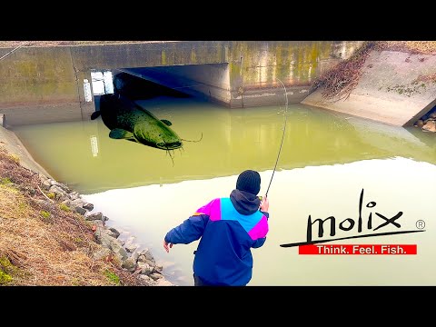 GROSSI PESCI SOTTO AL PONTOS! Pescata Multispecie a Street Fishing e Visita alla Molix [VLOG]