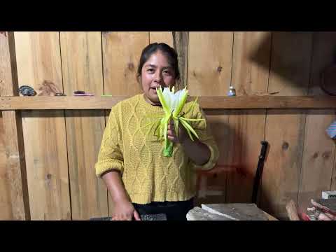 ¿Conocen esta flor comestible? Las preparo en empanadas